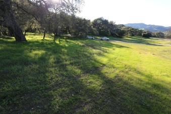 Enlarge photo 65