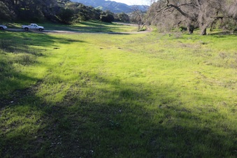 Enlarge photo 66