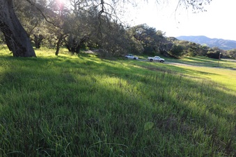 Enlarge photo 67