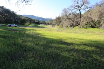 Enlarge photo 68