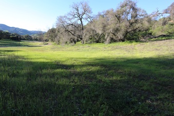 Enlarge photo 69