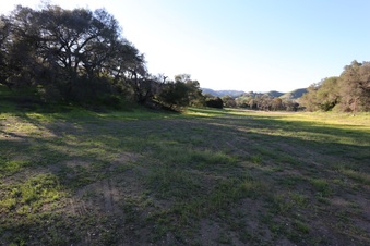 Enlarge photo 71