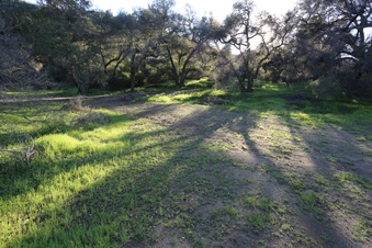Enlarge photo 74