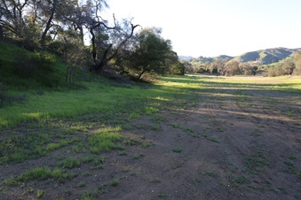 Enlarge photo 75