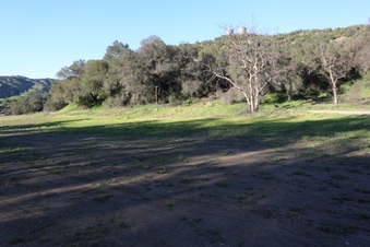 Enlarge photo 77