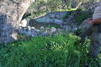 Enlarge photo 83