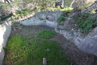 Enlarge photo 86