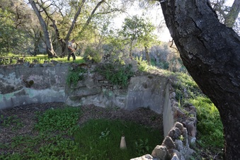 Enlarge photo 88