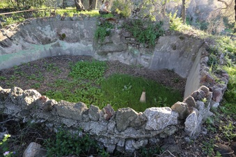 Enlarge photo 89