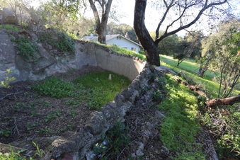 Enlarge photo 90
