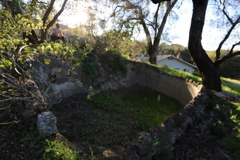 Enlarge photo 91