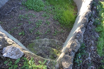 Enlarge photo 92