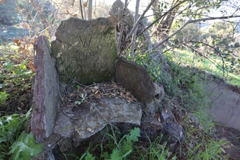 Enlarge photo 96