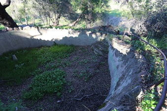 Enlarge photo 97