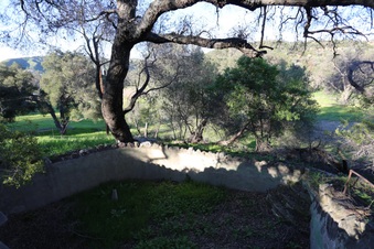 Enlarge photo 98