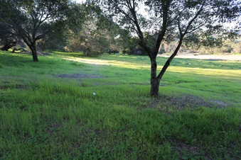 Enlarge photo 100