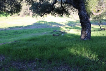 Enlarge photo 102