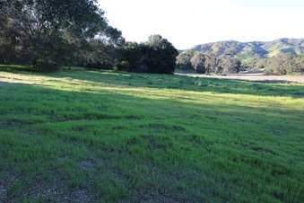 Enlarge photo 103