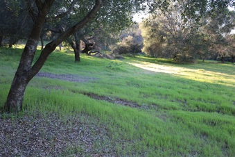 Enlarge photo 104