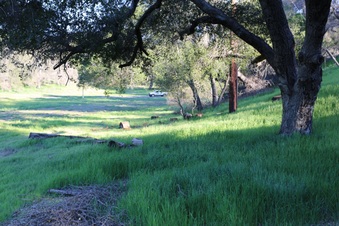Enlarge photo 105