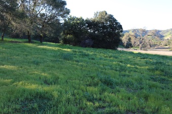 Enlarge photo 106