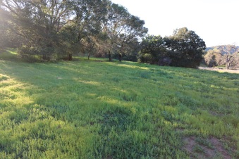 Enlarge photo 107