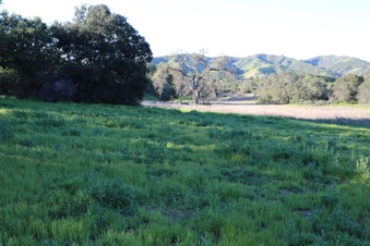 Enlarge photo 109