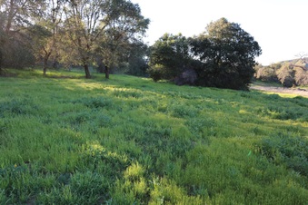 Enlarge photo 110