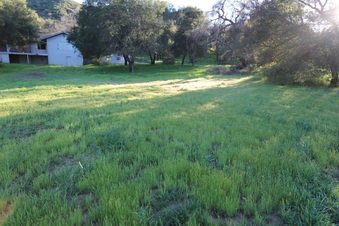 Enlarge photo 111