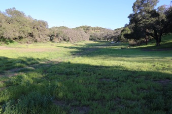Enlarge photo 113