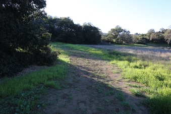 Enlarge photo 114