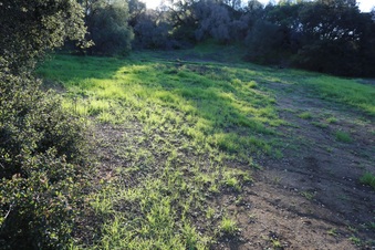 Enlarge photo 115