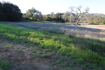 Enlarge photo 116