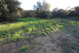 Enlarge photo 117