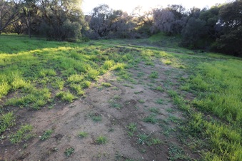 Enlarge photo 118