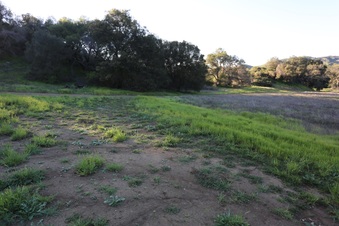 Enlarge photo 119