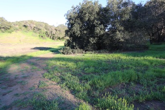 Enlarge photo 120