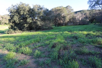 Enlarge photo 121