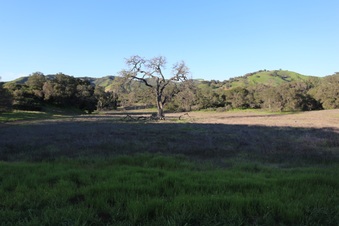 Enlarge photo 122