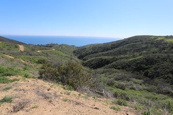 Enlarge photo 12