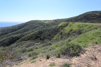 Enlarge photo 13