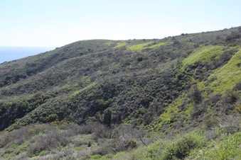 Enlarge photo 18