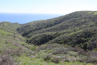 Enlarge photo 19