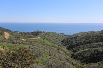 Enlarge photo 20