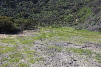 Enlarge photo 25