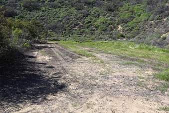Enlarge photo 26
