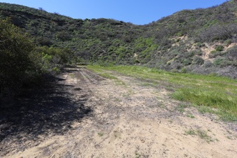 Enlarge photo 27