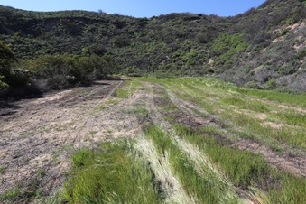Enlarge photo 28