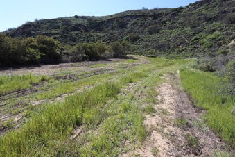 Enlarge photo 29