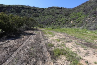 Enlarge photo 31